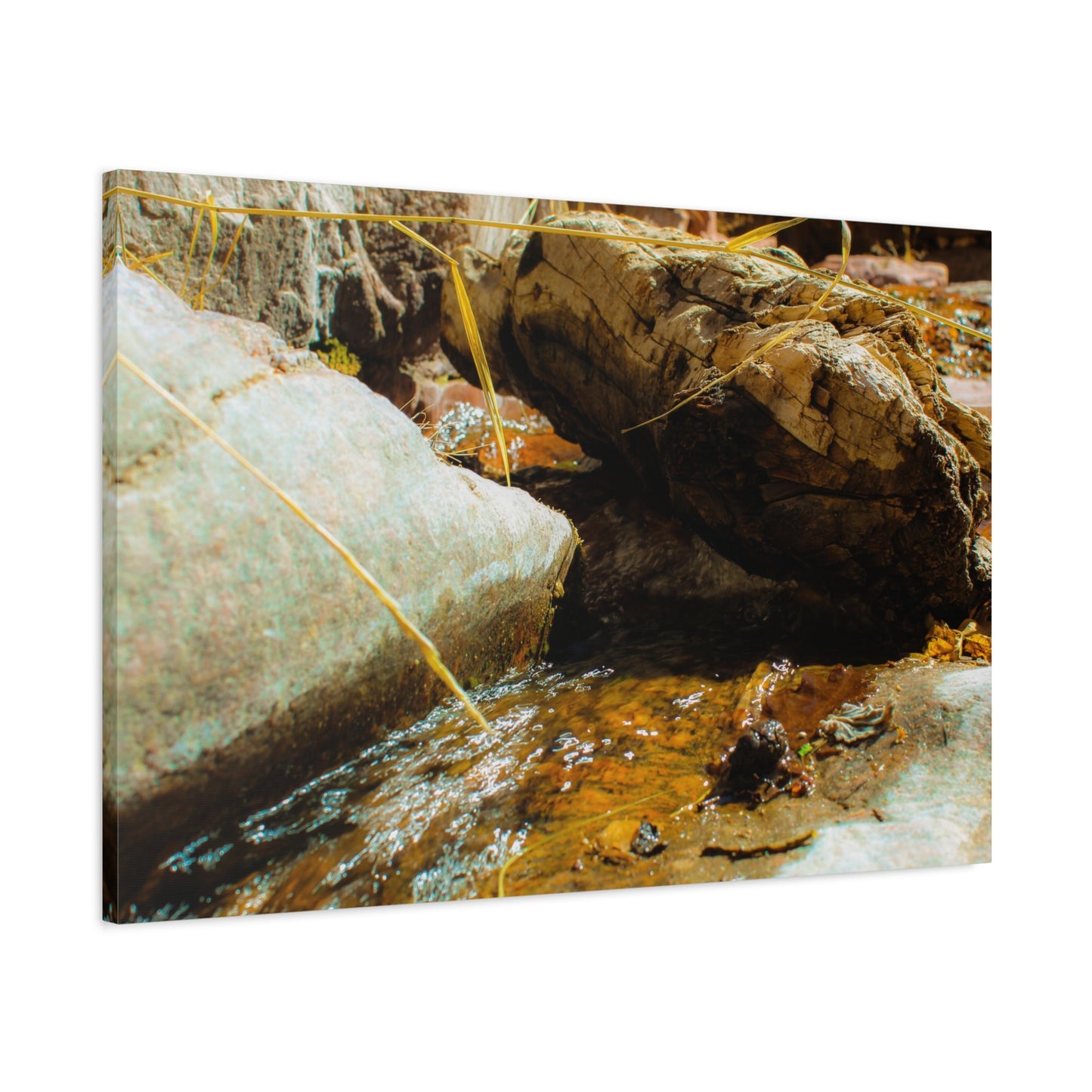 Canvas Print Lazy Log Photography