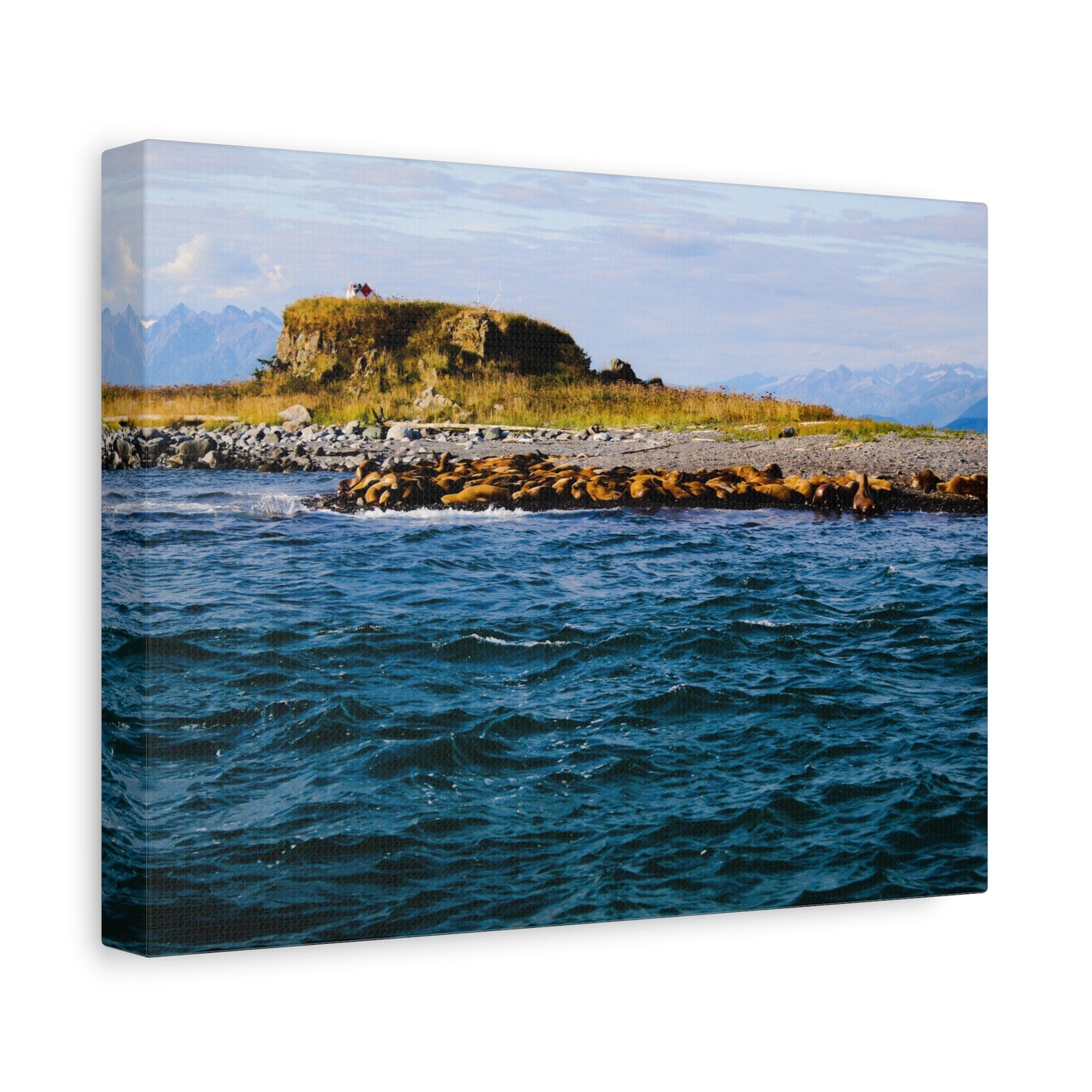 Canvas Print - Photo of Seal Island