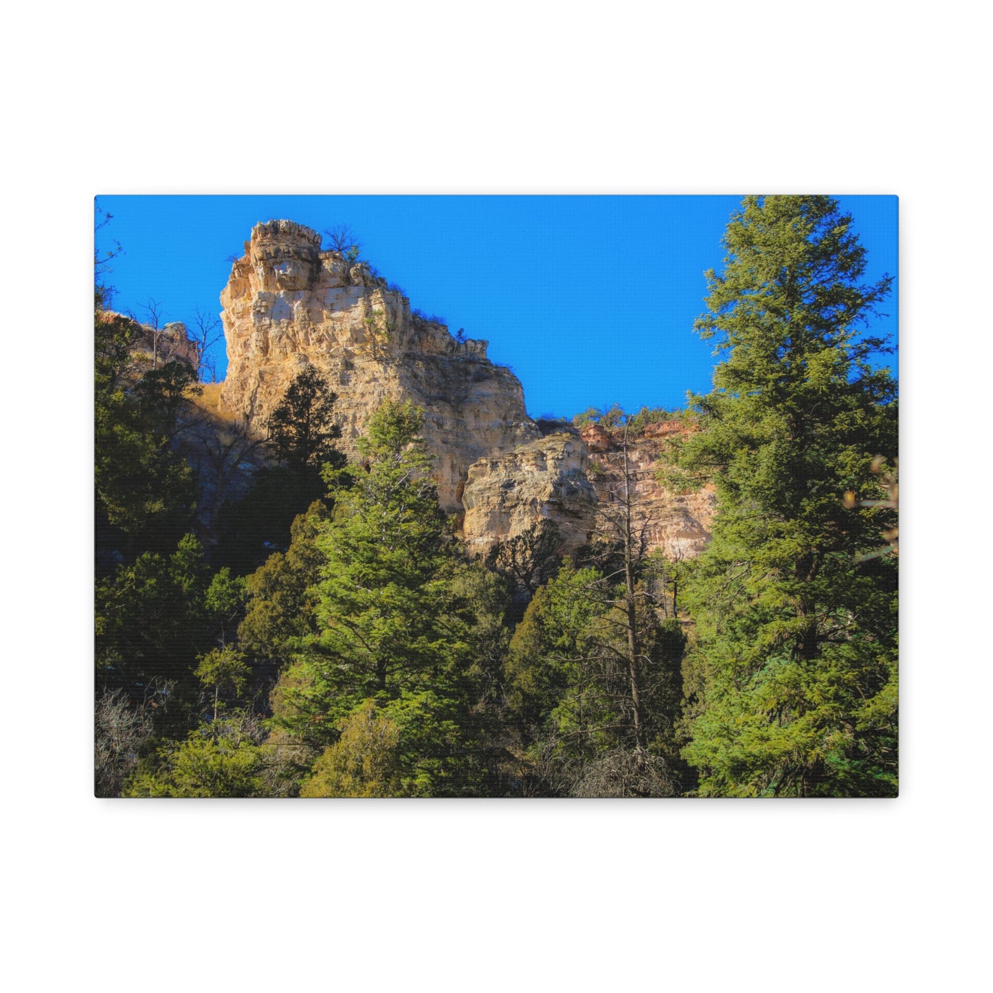 Canvas Print - Towering Cliff Green Trees Blue Skies Photography
