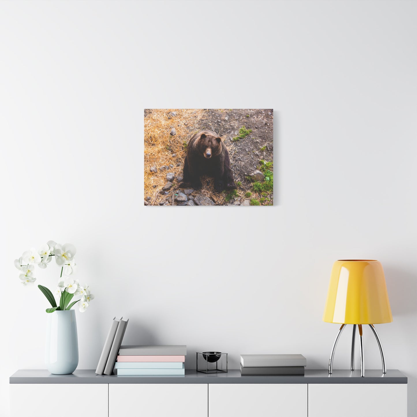Canvas Print - Staring Bear Photograph