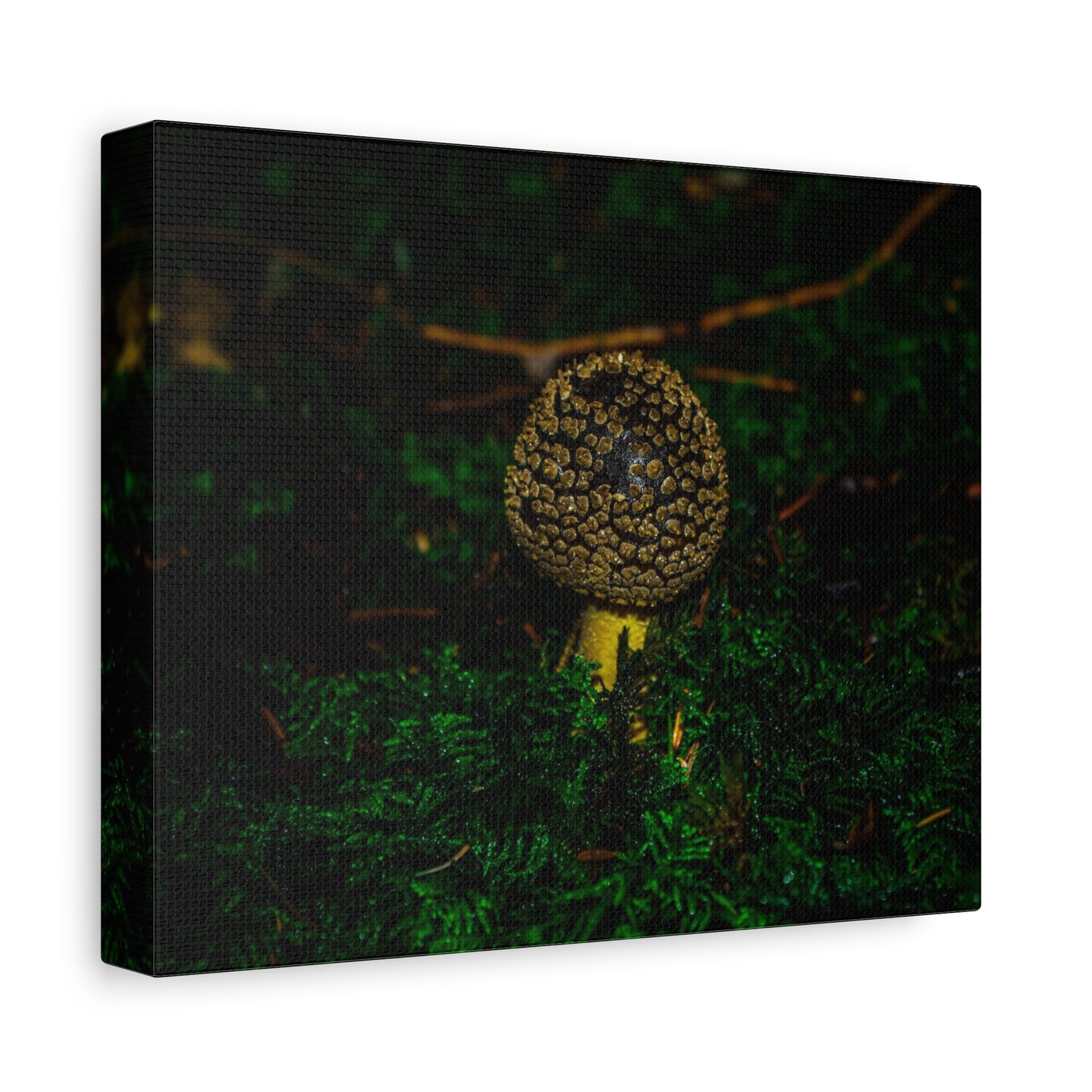 Canvas Print - Micro Mushroom Design