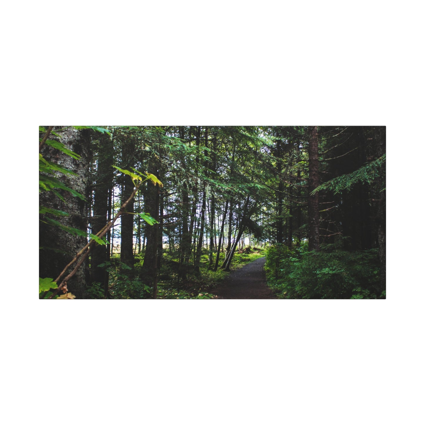 Copy of Canvas Art Print - Trail Through The Trees-Photograph