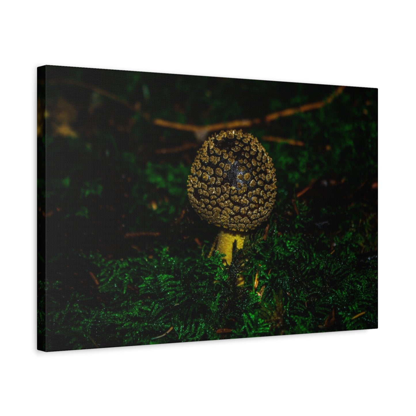 Canvas Print - Micro Mushroom Design