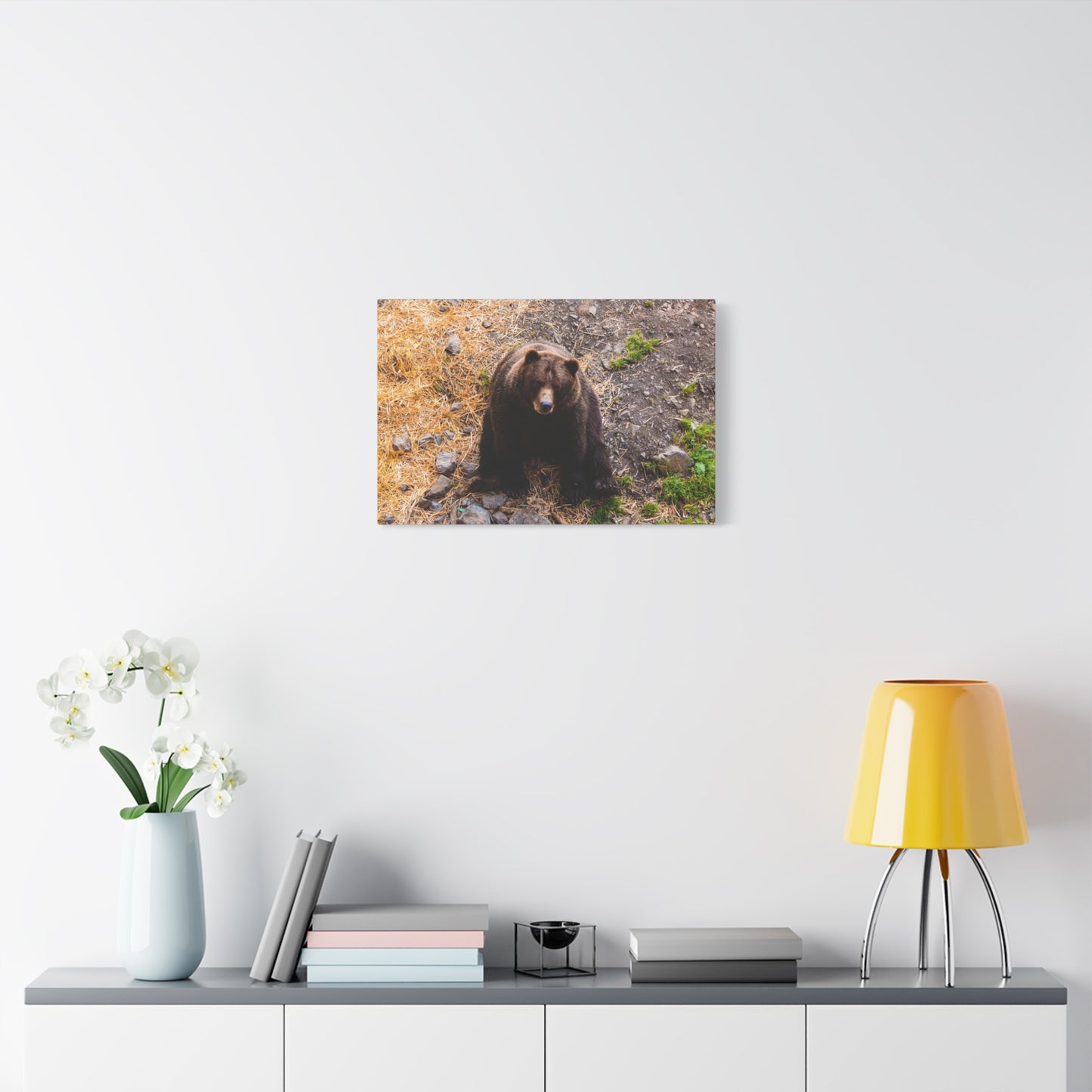 Canvas Print - Staring Bear Photograph
