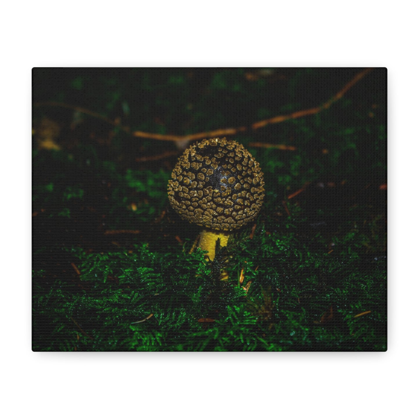 Canvas Print - Micro Mushroom Design