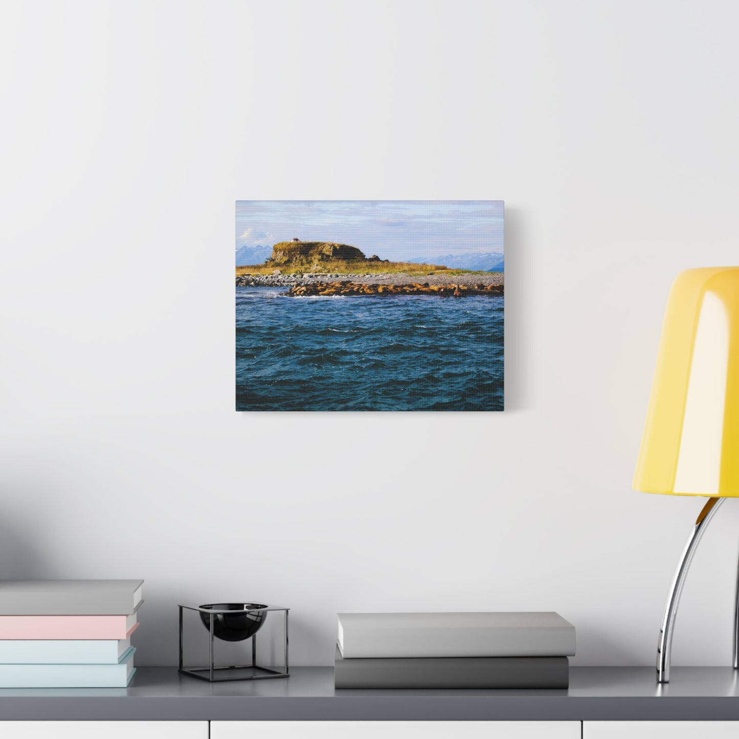 Canvas Print - Photo of Seal Island