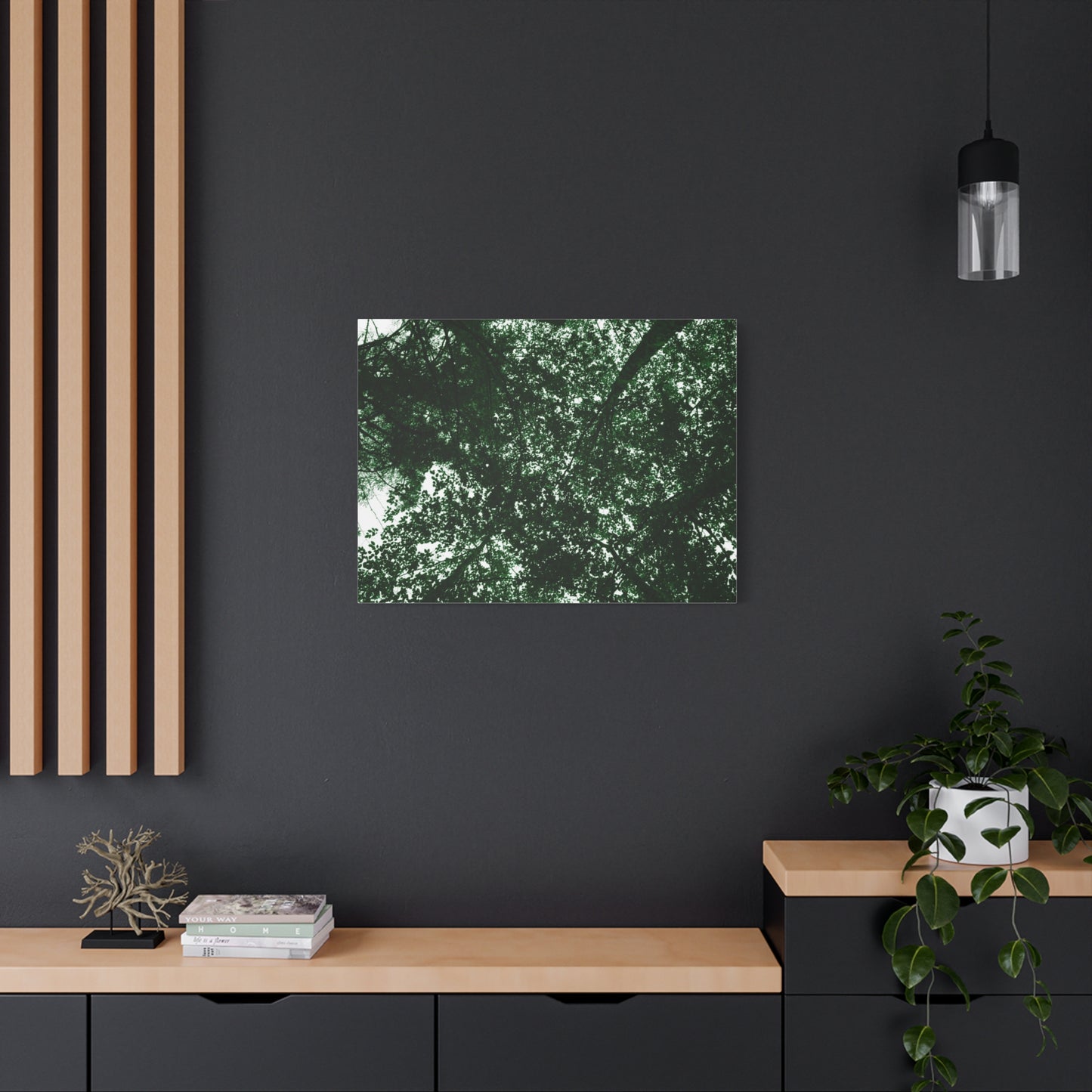 Canvas Print - Towering Tree Tops Photography