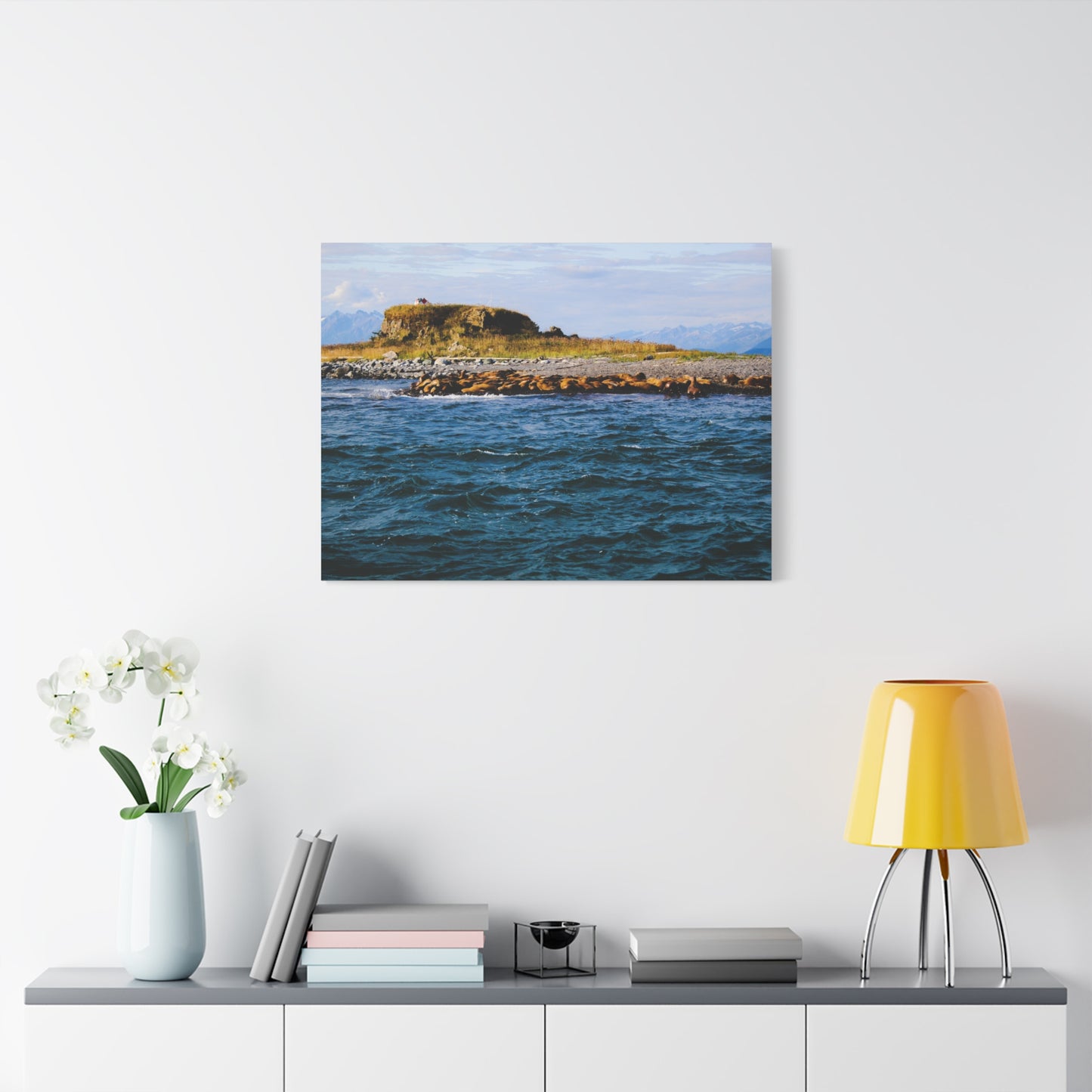 Canvas Print - Photo of Seal Island