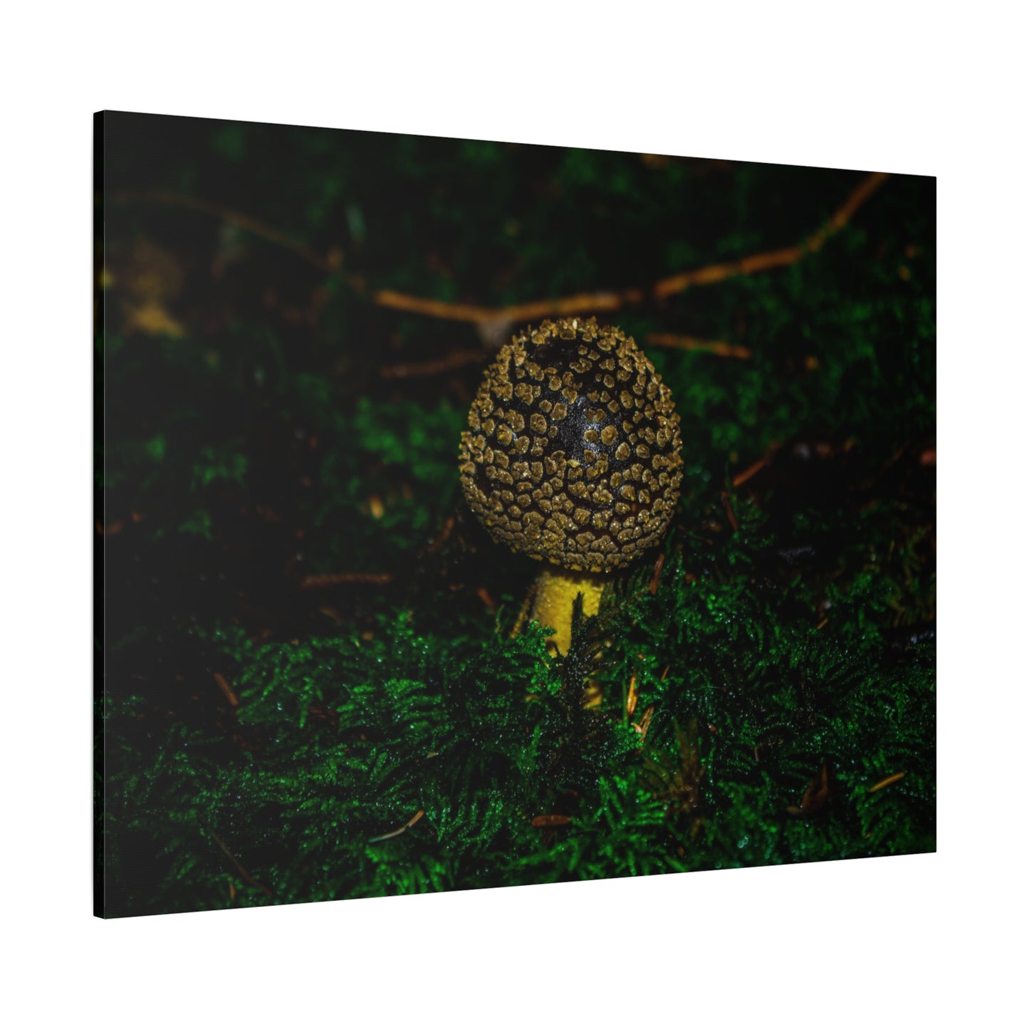 Canvas Print - Micro Mushroom Design