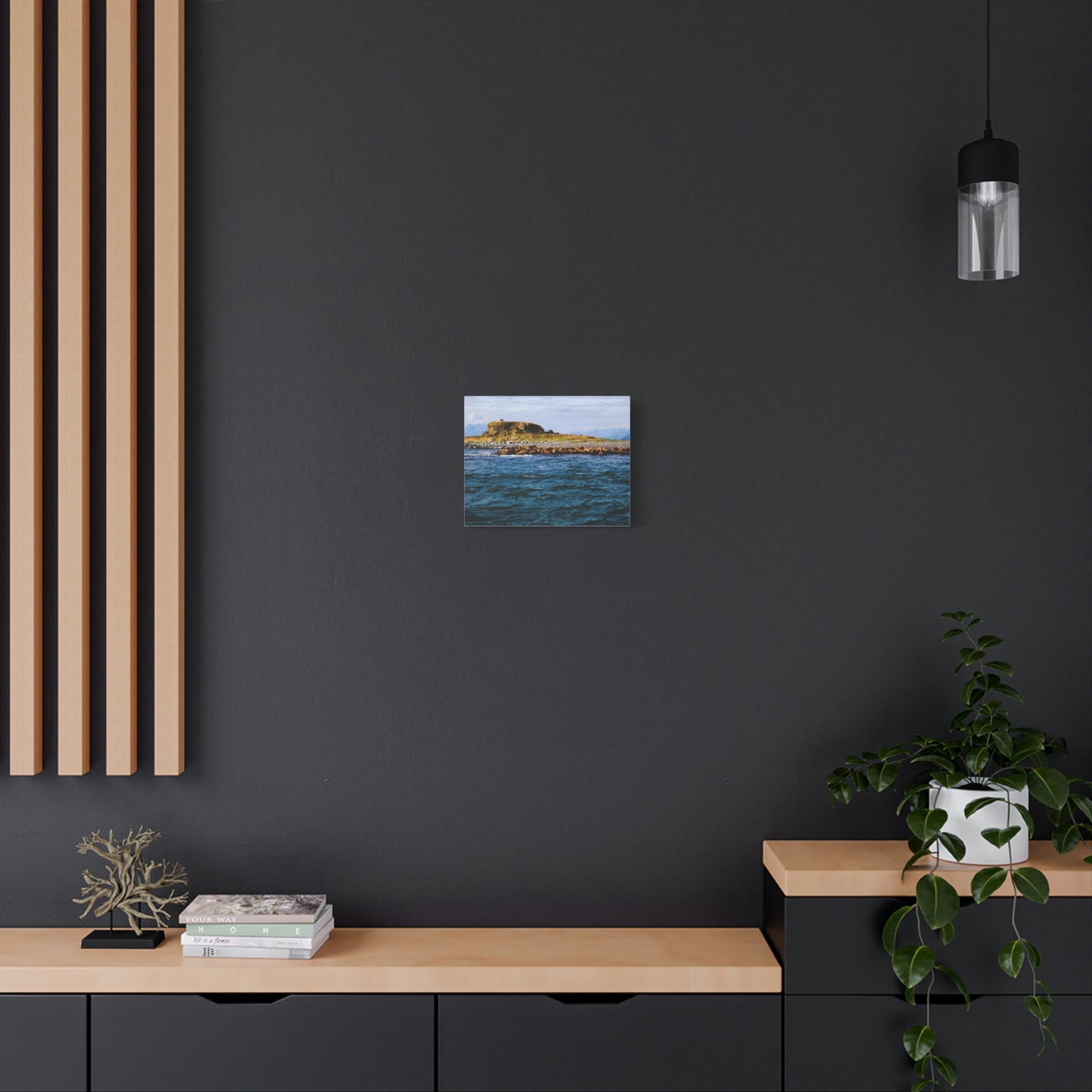 Canvas Print - Photo of Seal Island