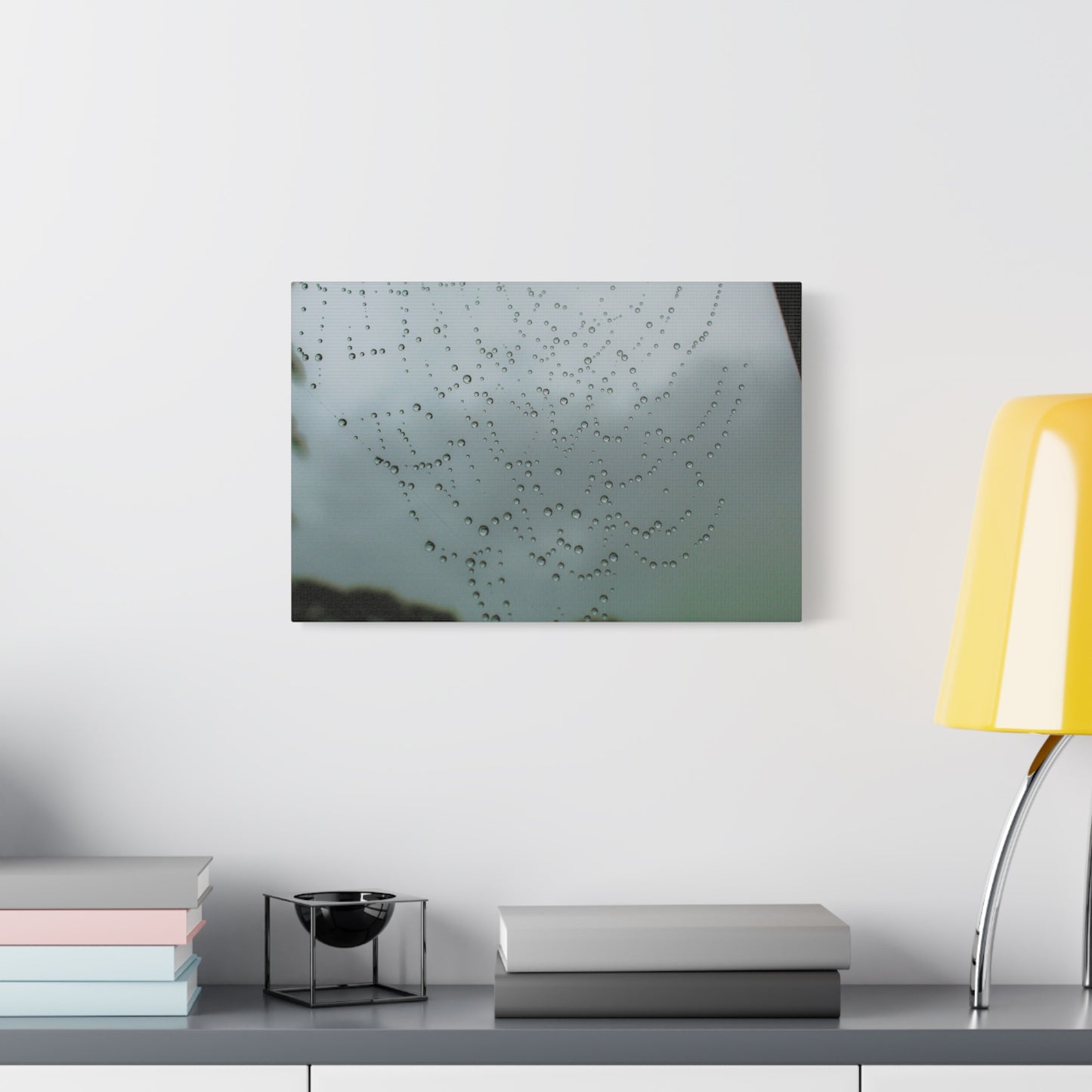 Canvas Print - Morning Dew on Spider Web Photo