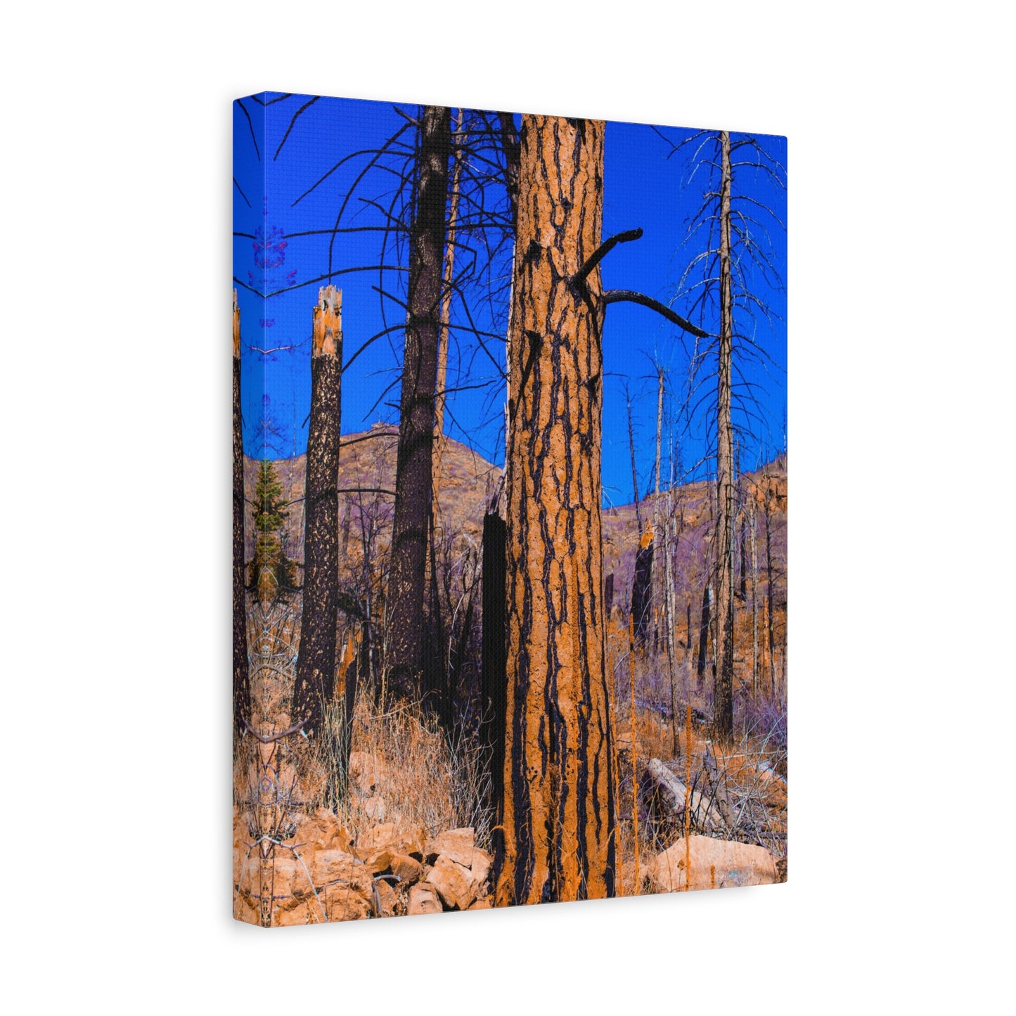 Canvas Print - Thunder Struck Tree Photo