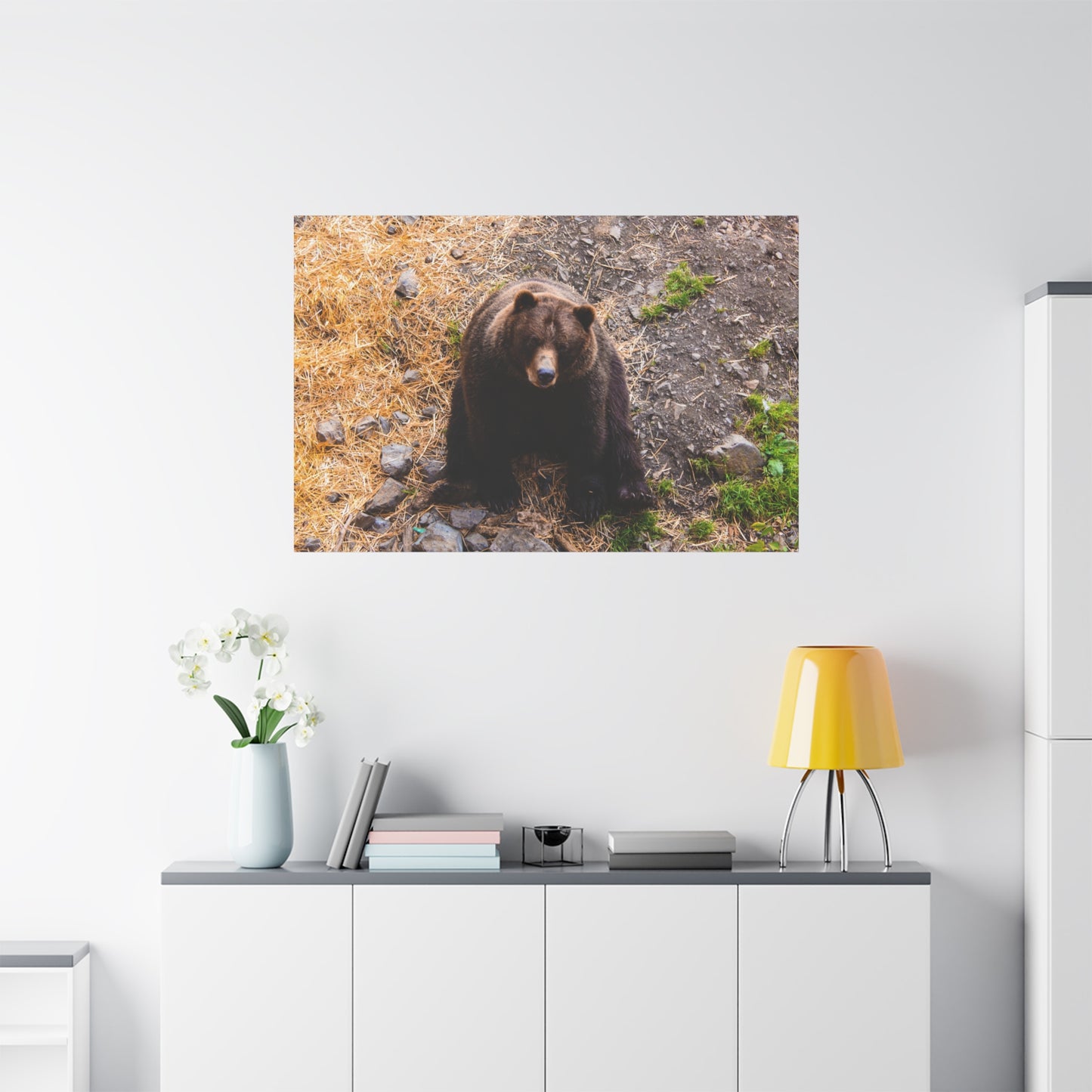 Canvas Print - Staring Bear Photograph
