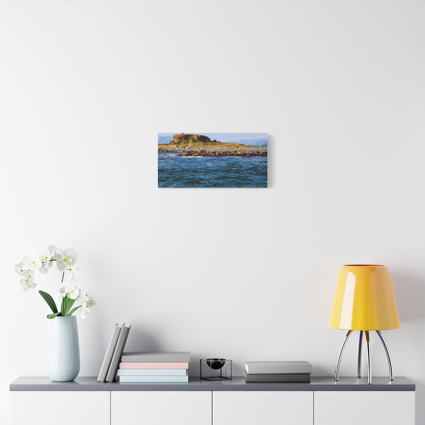 Canvas Print - Photo of Seal Island