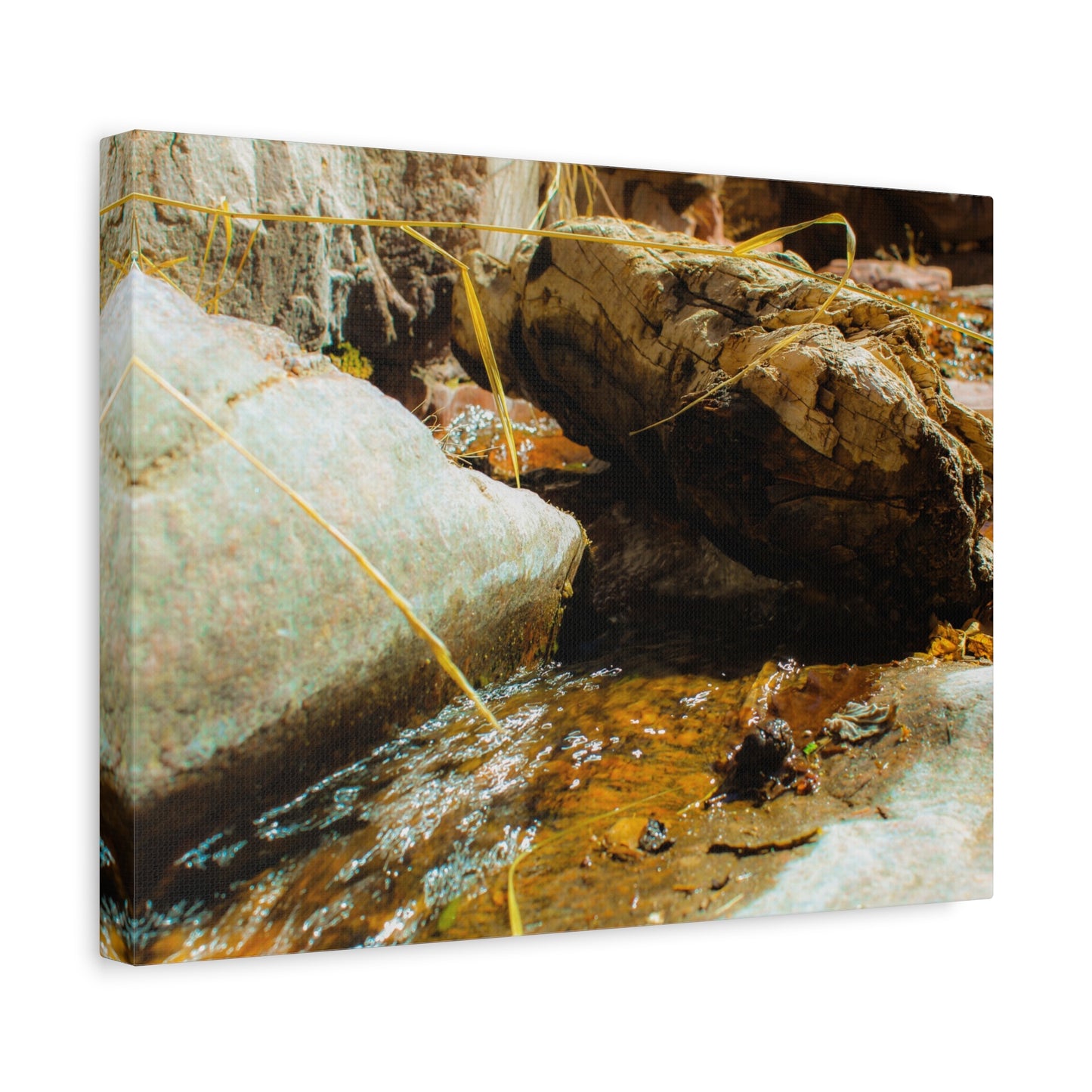 Canvas Print Lazy Log Photography