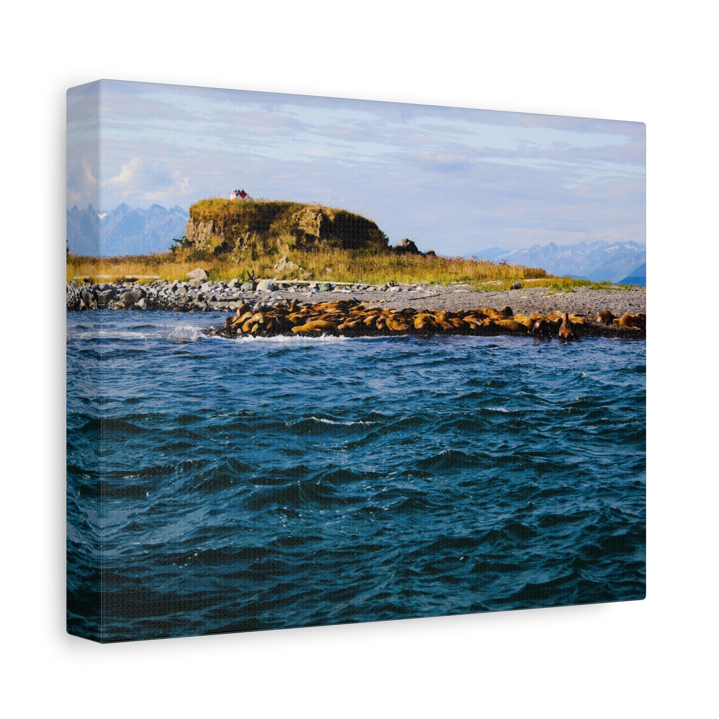Canvas Print - Photo of Seal Island