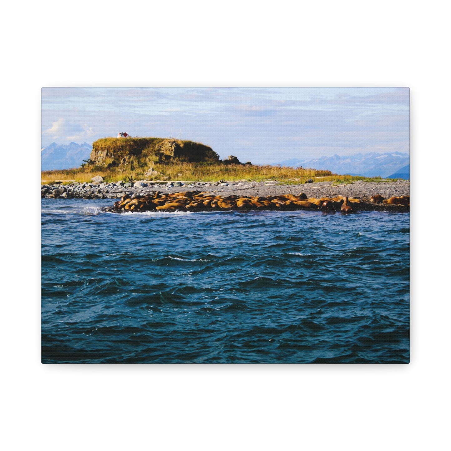 Canvas Print - Photo of Seal Island