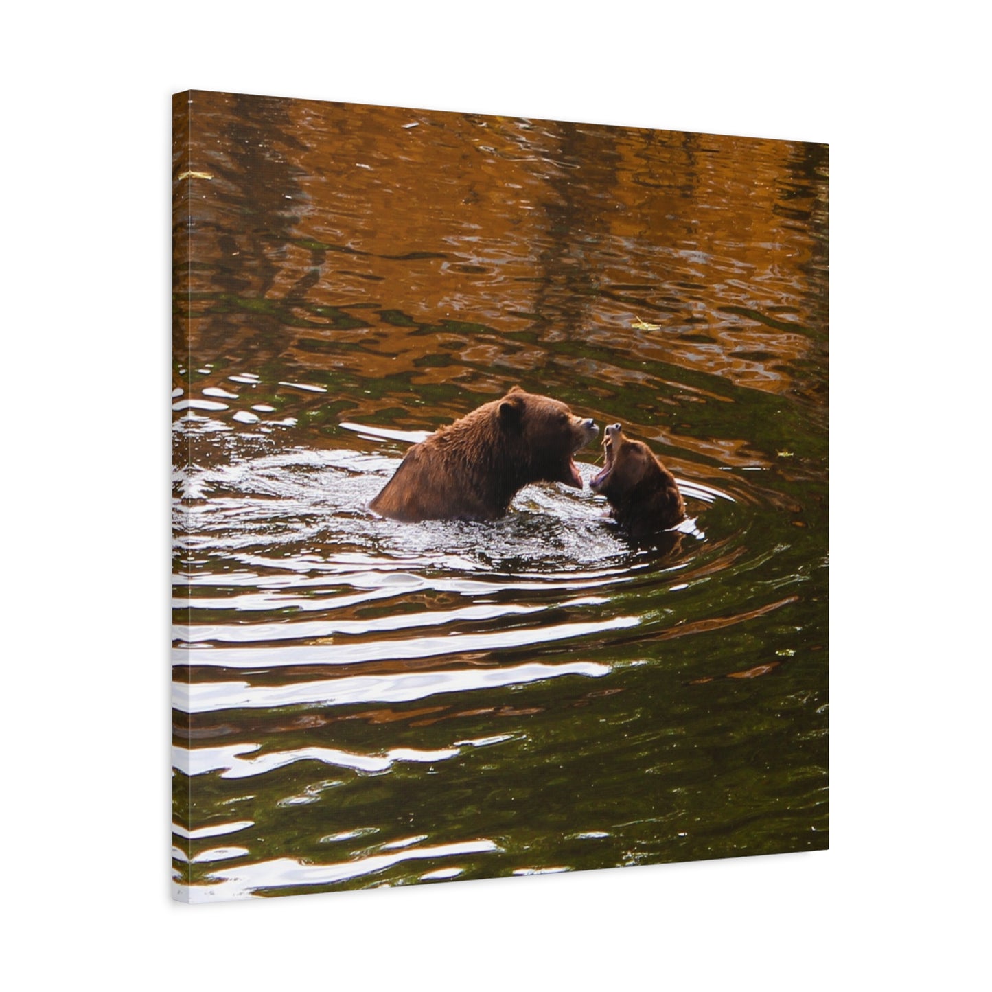 Canvas Print - Talking Bears Photograph