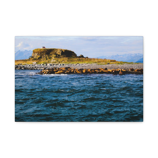 Canvas Print - Photo of Seal Island