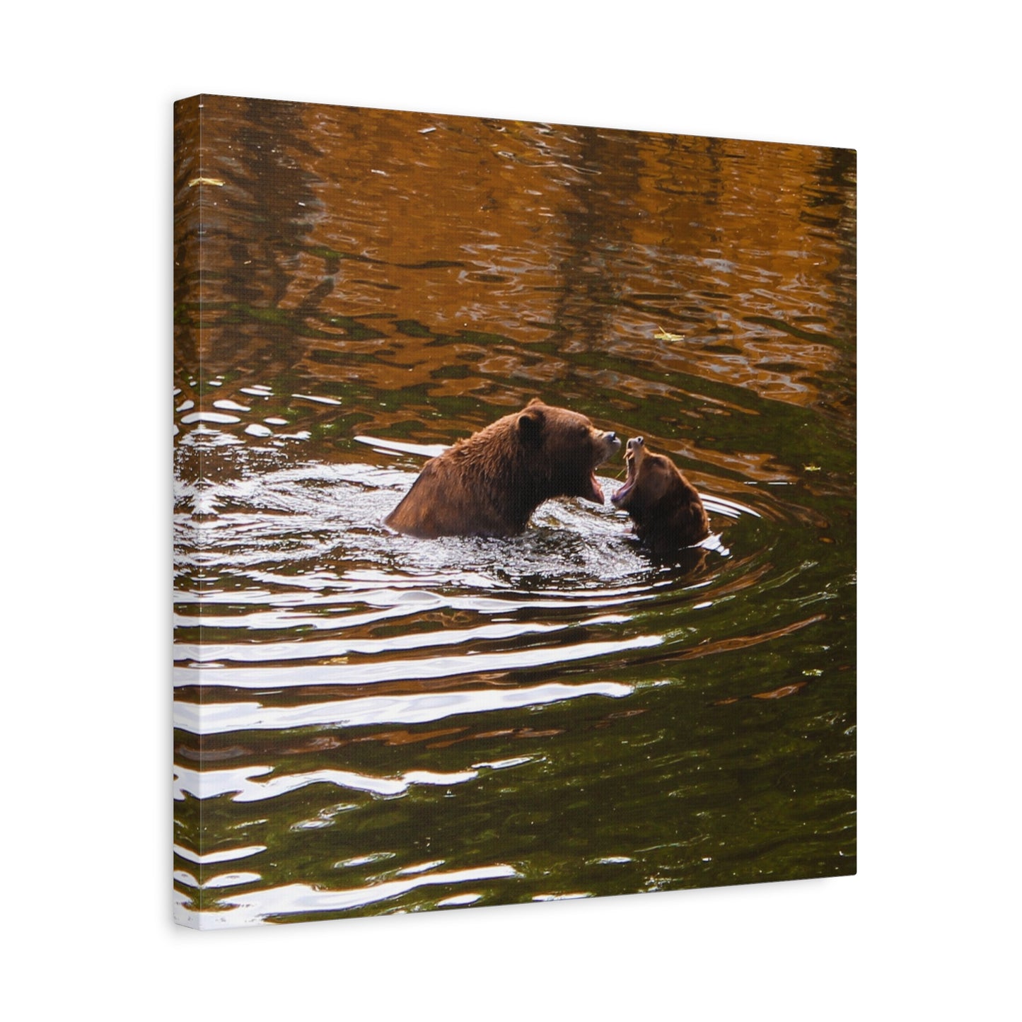 Canvas Print - Talking Bears Photograph