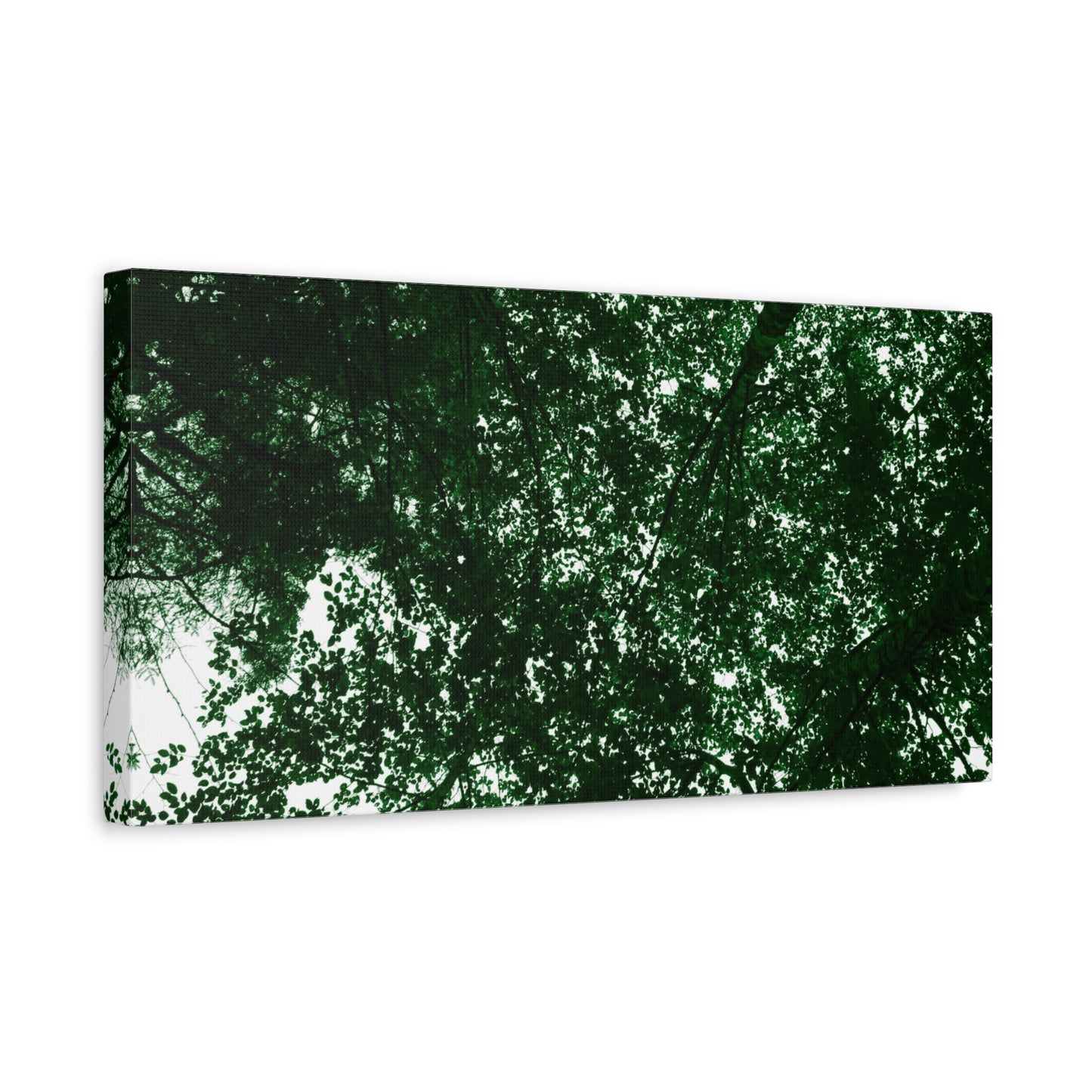 Canvas Print - Towering Tree Tops Photography