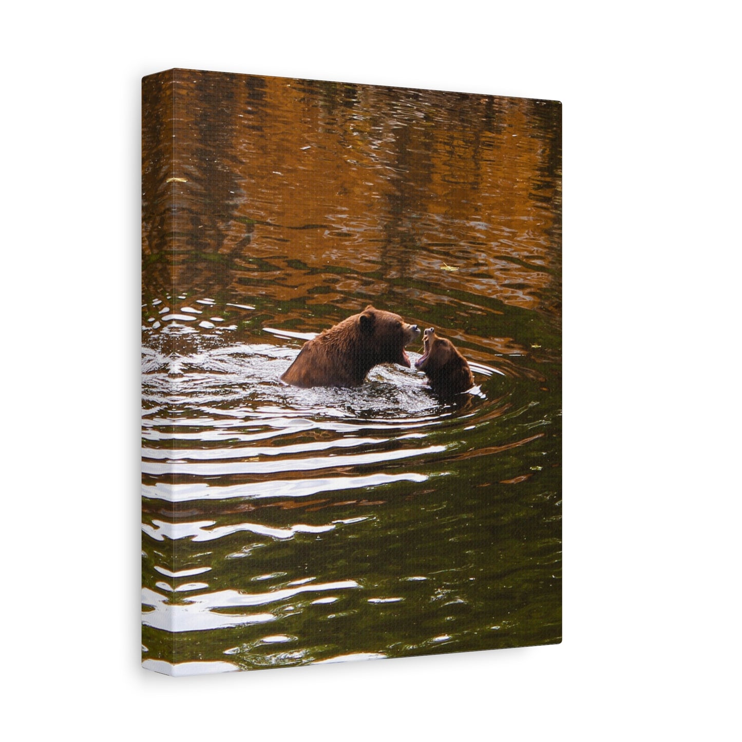 Canvas Print - Talking Bears Photograph
