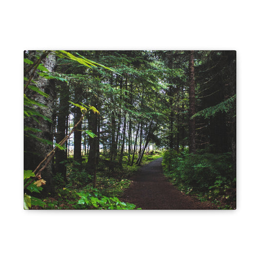 Copy of Canvas Art Print - Trail Through The Trees-Photograph