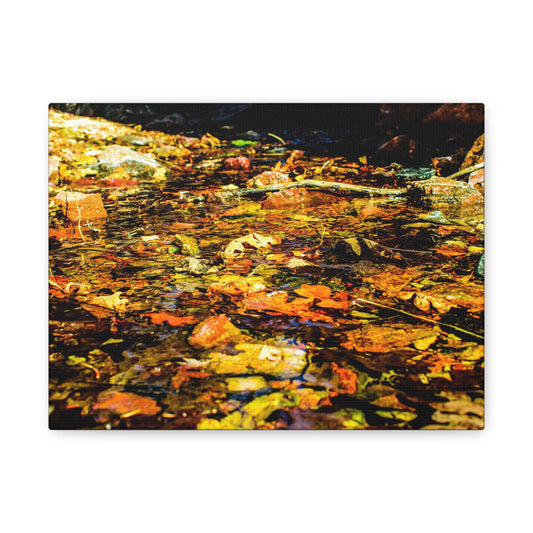 Canvas Print - Fall Leaves in Quiet Stream Photography