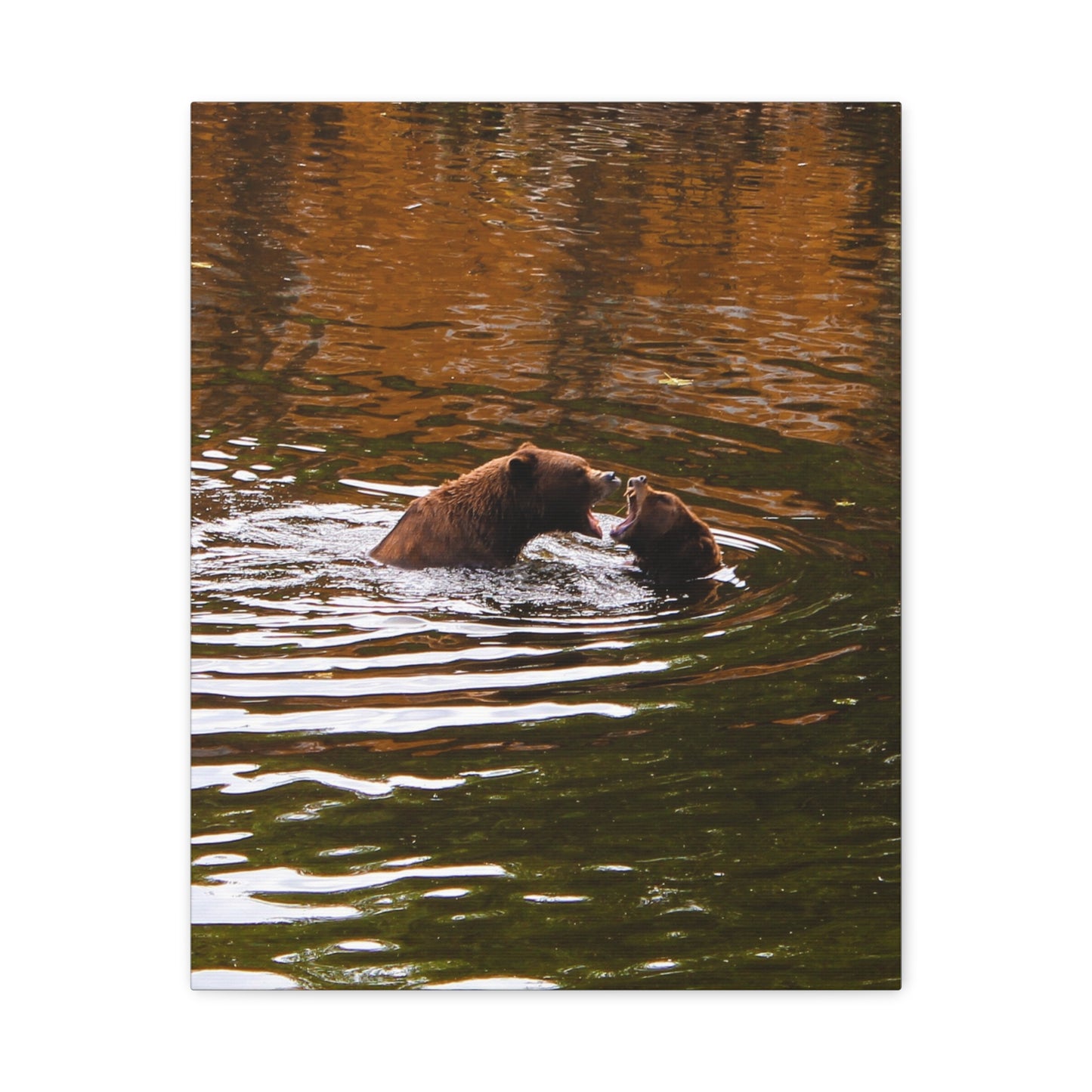 Canvas Print - Talking Bears Photograph