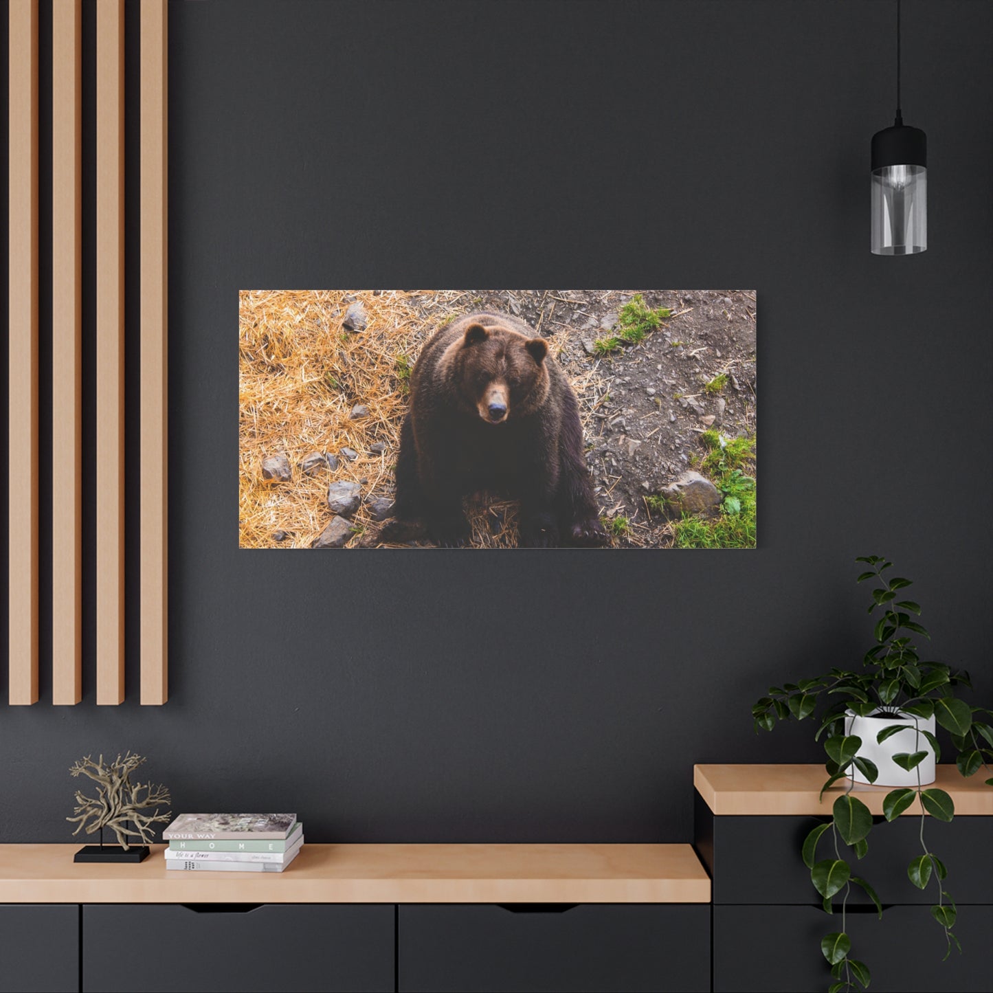 Canvas Print - Staring Bear Photograph