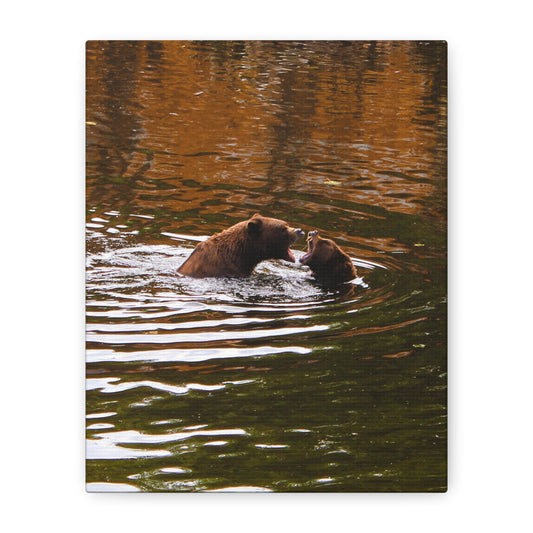 Canvas Print - Talking Bears Photograph