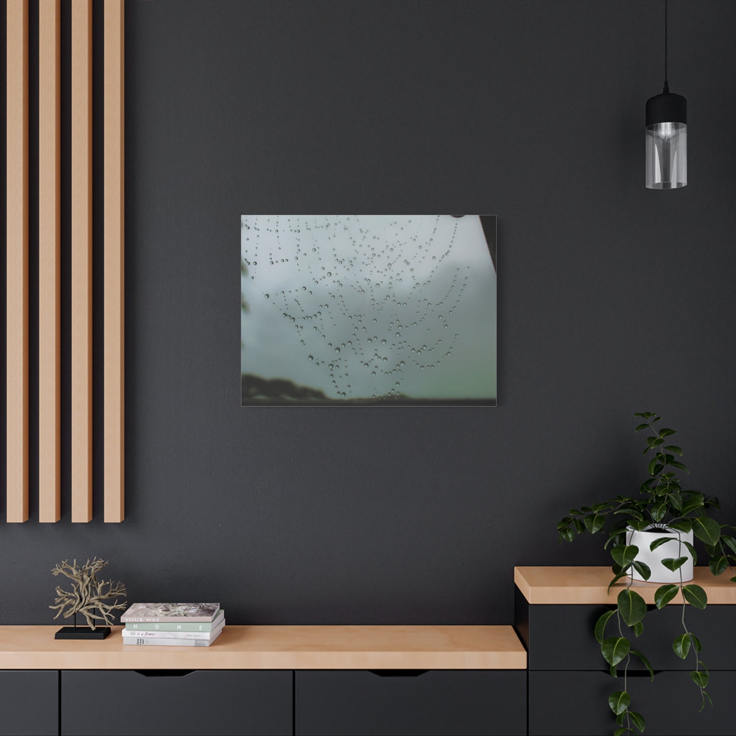 Canvas Print - Morning Dew on Spider Web Photo