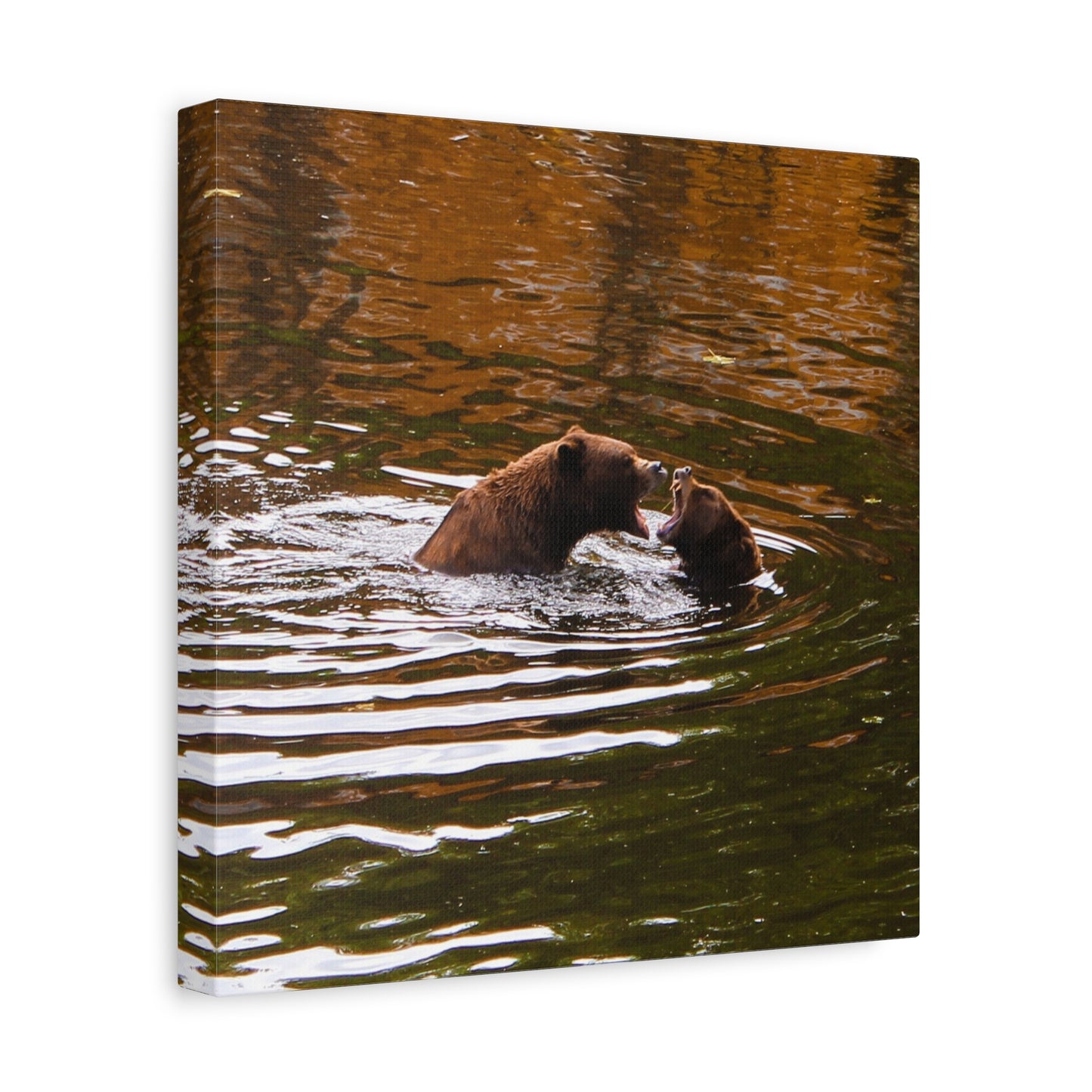 Canvas Print - Talking Bears Photograph