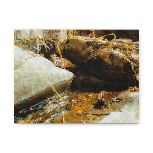 Canvas Print Lazy Log Photography