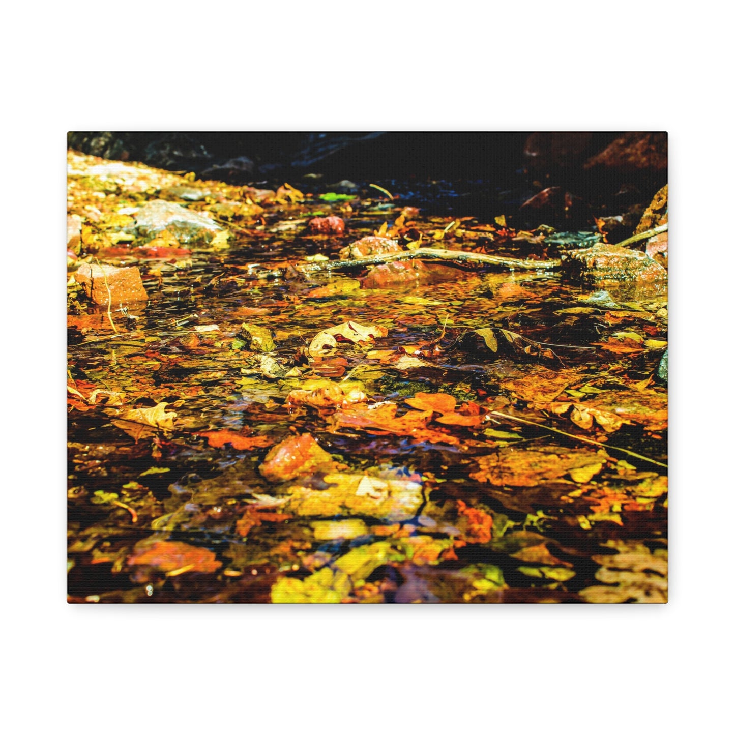 Canvas Print - Fall Leaves in Quiet Stream Photography