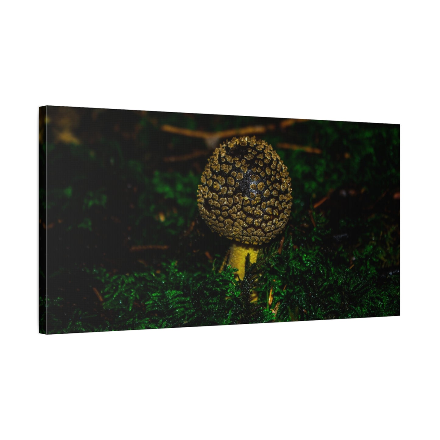 Canvas Print - Micro Mushroom Design