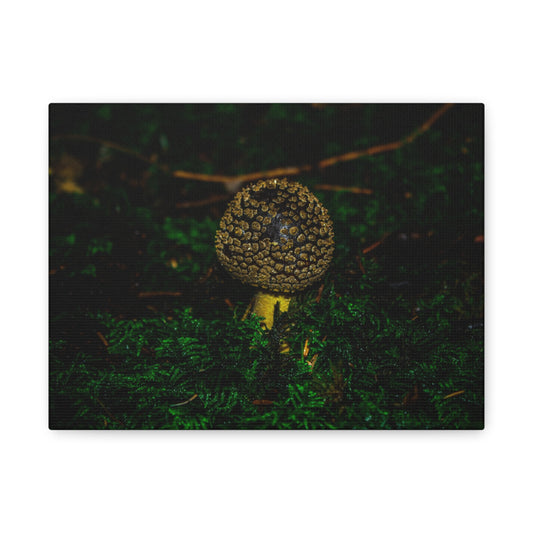 Canvas Print - Micro Mushroom Design