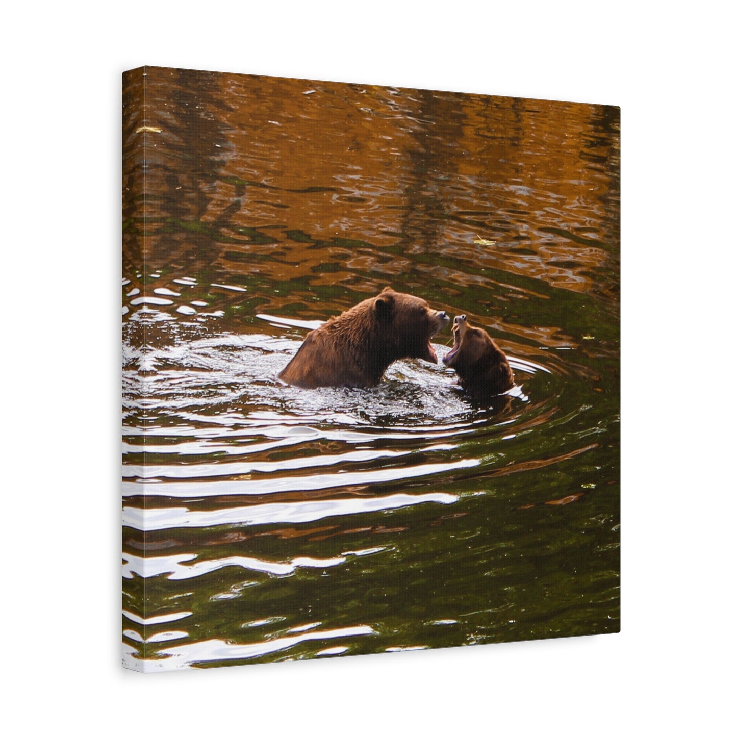 Canvas Print - Talking Bears Photograph