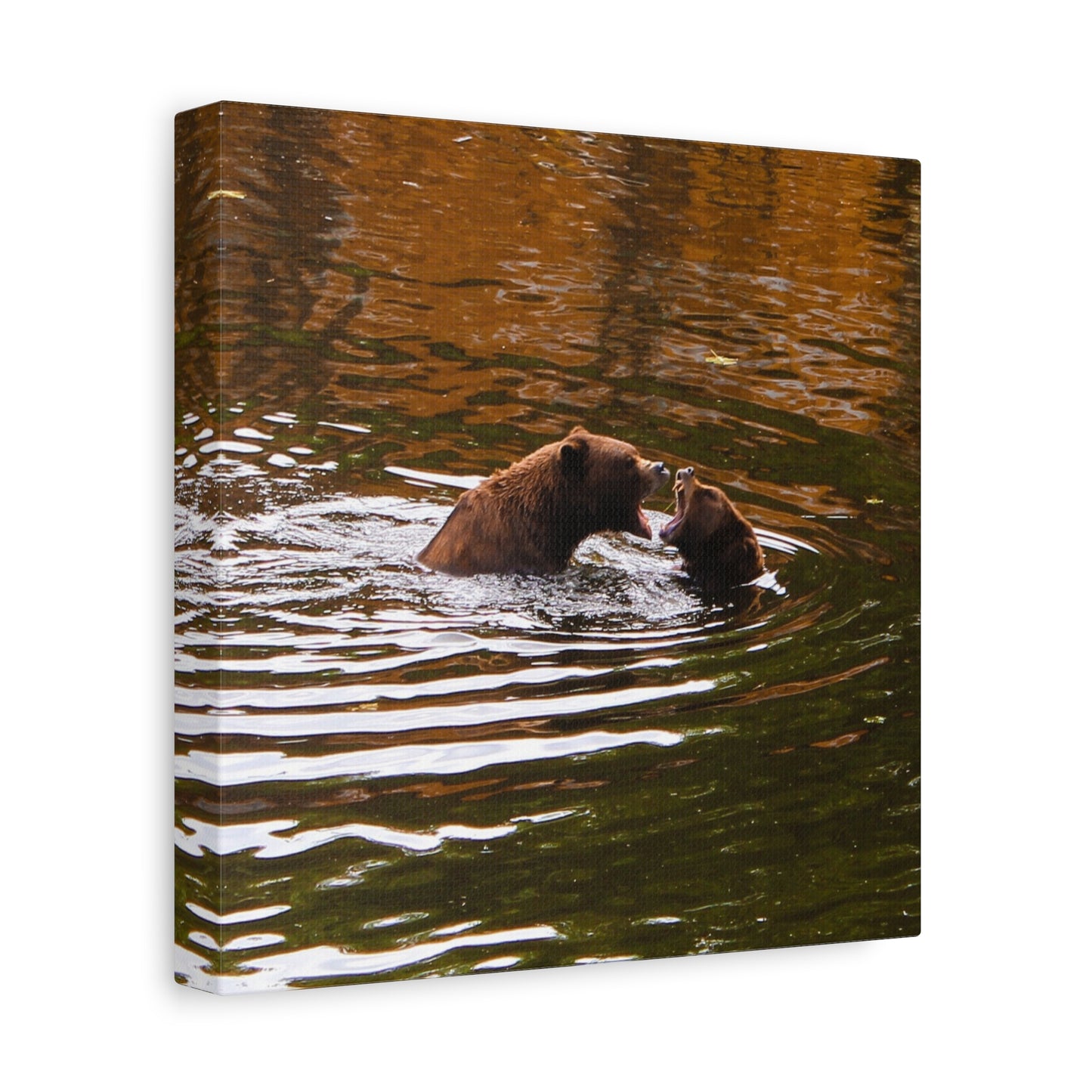 Canvas Print - Talking Bears Photograph