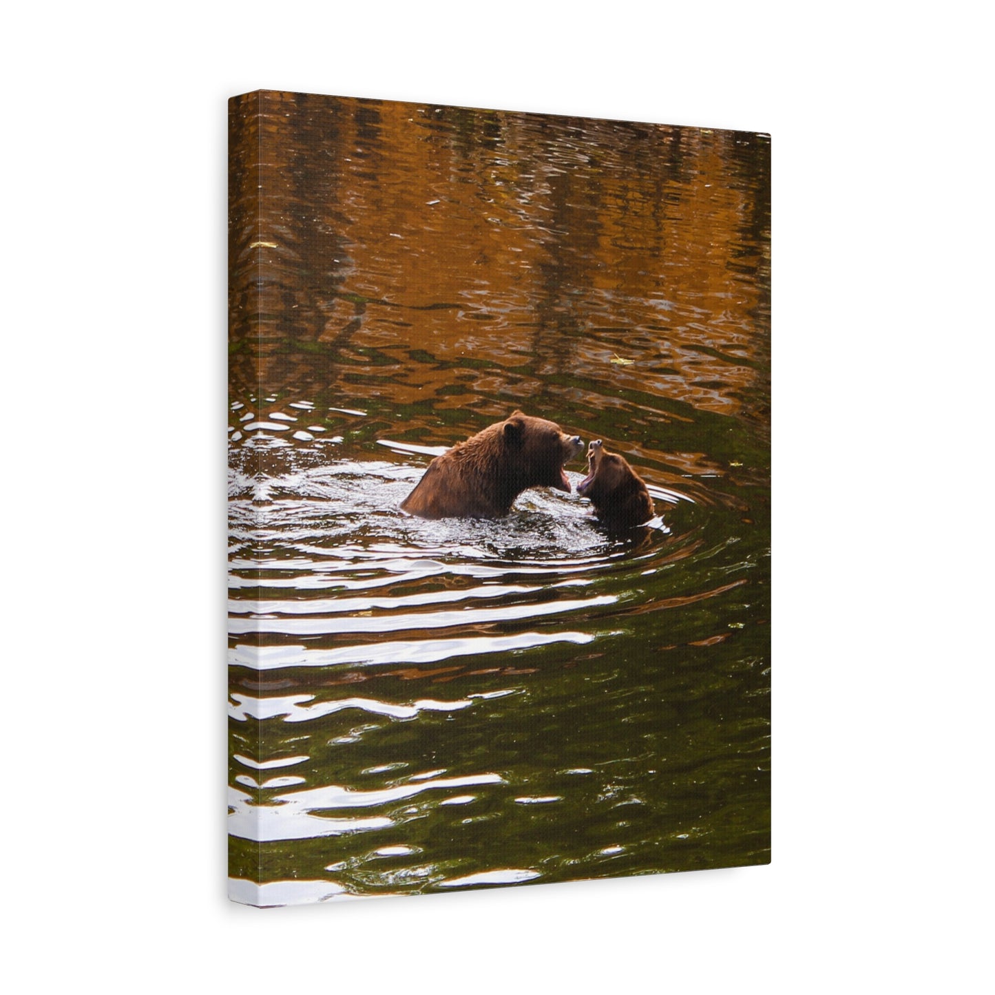 Canvas Print - Talking Bears Photograph