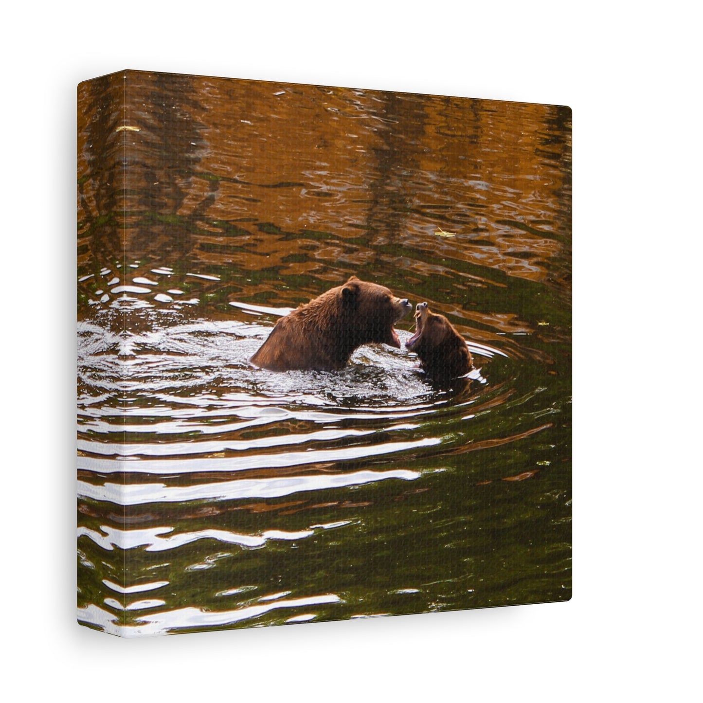 Canvas Print - Talking Bears Photograph