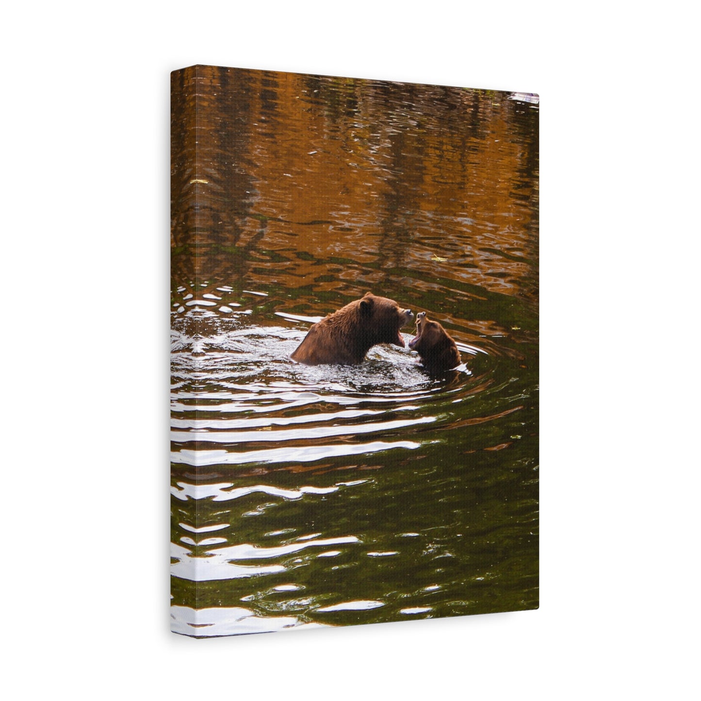 Canvas Print - Talking Bears Photograph