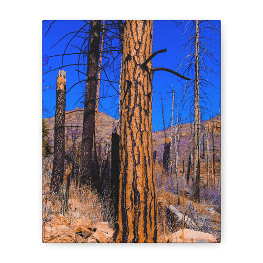 Canvas Print - Thunder Struck Tree Photo